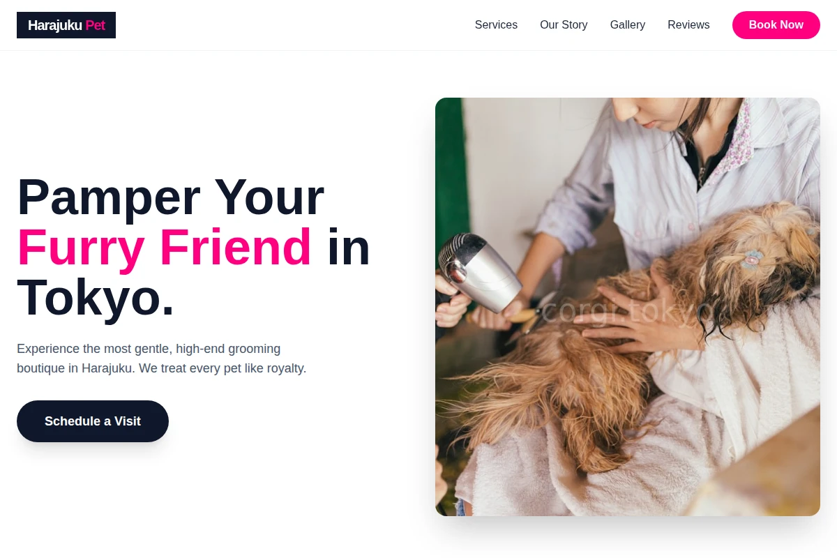 pet-grooming