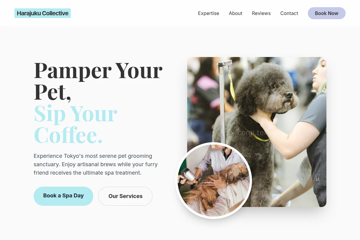 Cafe Pet Grooming